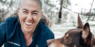 Rehabilitation information for veterinarians -