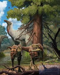 Image result for Dyschoriste multicaulis