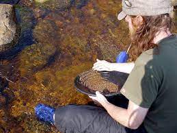 Very small amounts of gold can be prospected from just about anywhere in the state, but certain areas are much richer than others. Gold In Washington State Washington Coast Adventures Com