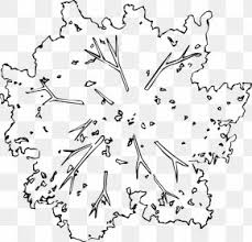 tree top view images tree top view transparent png free download tree top view transparent png