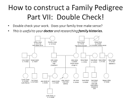 Pedigrees Essential Questions What Is A Pedigree What Do