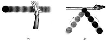 Ncert Solutions For Class 8 Science Chapter 11 Force And Pressure Force And Pressure Class 8 Science