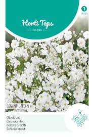 The distance between euston station, london and covent garden, london is approximately 1.76 mi, which can typically be travelled in 17 min. Schleierkraut Covent Garden Weiss Blumensamen Von Hortitops Samenhaus Samen Samereien