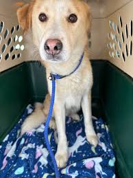 Please contact the owner directly with any information!