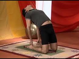 Ustrasana Yoga For Beginners In Tamil Youtube