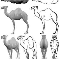 Easy drawing guides > animal , easy , mammal > how to draw a camel. Pdf Cognitive Mechanism Related To Line Drawings And Its Applications In Intelligent Process Of Visual Media A Survey