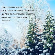 La Bible Verset Illustre Psaumes 20 6 Nous Nous Rejouirons De Ton Salut Nous Leverons L Etendard Au Nom De Notre Dieu L Eterne Bible Outdoor Motivation