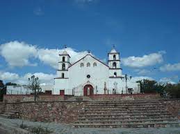 Pin En Chihuahua Lindo Y Querido