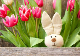 Tulpen, narzissen, ranunkel und forsythien sind die boten des aufbruchs und wiedererwachens der natur. Blumen Zu Ostern Kaufen Auf Blumen De