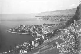 Panorama De Bon Port Le Trait Et Clarens 1910 Archives De Montreux Fonds Iconographique La Tour Aerial City Photo