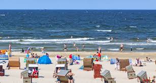 Die geißeln sind meist polar angeordnet. Zahl Der Vibrioneninfektionen Steigt