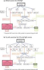 For approximately 20% of breast cancer patients, the her2 oncogene is genetically amplified or otherwise overexpressed at the protein level, driving an aggressive subtype of disease known as her2+ breast cancer. Evidence Based Guidelines For Managing Patients With Primary Er Her2 Breast Cancer Deferred From Surgery Due To The Covid 19 Pandemic Npj Breast Cancer