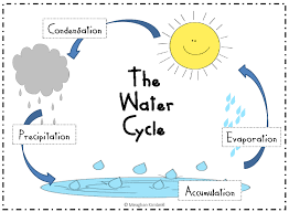Https Www Google Com Search Q Water 20cycle 20diagram 20for 20preschool Biw 1600 Bih 775 Source Water Cycle Kindergarten Water Cycle Kindergarten Worksheets