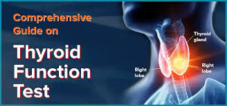 Image result for Thyroid Function Test