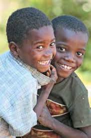 Perspectives: Commercial Approaches to Delivering Household Water Treatment  and Safe Storage Products and Solutions to Low-Incom