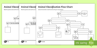 One worksheet for each animal type. Animal Flow Chart Worksheet Teacher Made