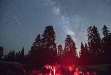 Big Trees State Park - Optical Astronomy Nights