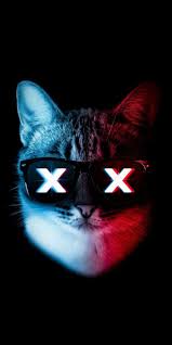 Animasi gambar kartun kucing lucu untuk wallpaper hp.wallpaper hp wallpaper keren wallpaper 3d gambar animasi screensaver 1600×991. Satrio Pratama Satrior814 Profil Pinterest