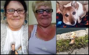 CONVICTED | Michelle Moran, 63, from #bebington, #wirral, Merseyside -  drowned her elderly dog in a lake. On September 29, 2025, Moran threw her  16-year-old Jack Russell, Gypsy, into a boating lake