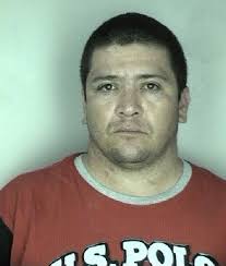 Polk Detectives Arrest Eight