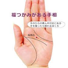 ラッキーな良い暗示の手相 8回目の今日は 福つかみ がある手相です 上の画像のような どの掌線にも触れておらず 自然に手を握って隠れるところにあるホクロのことを福つかみと言います 関連記事 その他のラッキーな手相は に一覧にしてありま 手相 ほくろ 占い