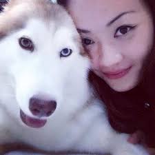 Life in lockdown with 2 cheeky Huskies, Chanel and Marley