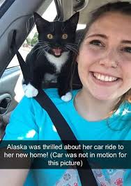 Rating from 0-10🖤 . . . . Ten Unknown Facts About #BMW . 1. Founding and  History: BMW, Bayerische Motoren Werke AG, was founded in 1916 in Munich,  Germany, initially producing aircraft