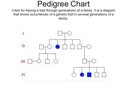 assignment pedigrees ppt download