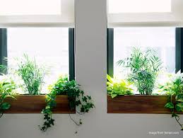 Maybe you would like to learn more about one of these? A Beginner S Guide For Creating An Indoor Cat Garden American Lifestyle Magazine