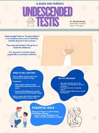 Image result for Undescended Testicle