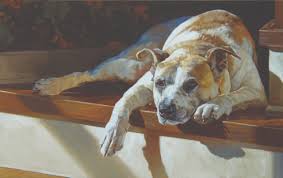 To unlock your fido cell phone, follow these steps: Pets Competition Best In Show Art Competition Submit Your Art Today