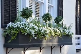 We did not find results for: Window Box Charleston South Carolina C Homeiswheretheboatis Net Window Box Flowers Window Planter Boxes Window Planters