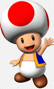 236x308 best morels images mushrooms, mushroom. Super Mario Super Mario Bros Mushroom 8 Bit Toad Mario Bros Text Super Mario Bros Png Pngegg
