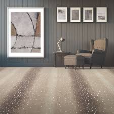 Stores in worthington, powell, reynoldsburg, hilliard, columbus and blacklick. Carpet Flooring Columbus Ohio America S Floor Source Stylish Carpets Karastan Rugs On Carpet