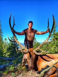 Bull Elk Hunt 6.5 Prc - Youtube