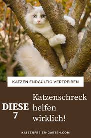 Wer sie also nicht im garten haben will, muss selbsttätig katzen vertreiben. Katze Aus Dem Garten Vertreiben Katzen Vertreiben Garten