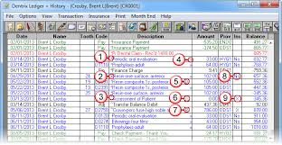 Find A Wealth Of Information In The Ledger Dentrix