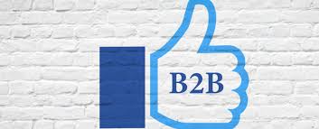 Do Facebook Ads Work for B2B Lead Generation? | iWebContent