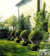 Repetition Pots Box Landscape Design Modern Landscape Design Modern Landscaping