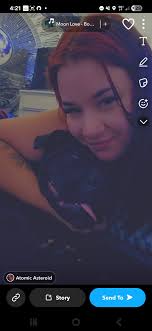 Bellingham Lost & Found Pets