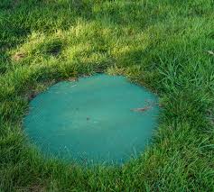 Septic System Maintenance Tips L Lagoon Loyal