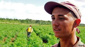 Lo que hace falta es entregar el tomate”