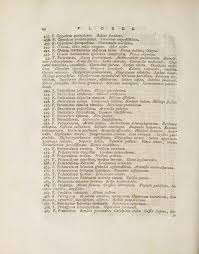 Image result for Hippocratea pallens