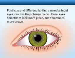 The Human Eye Color Chart Eye Color Facts Eye Color Chart