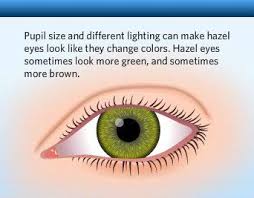 the human eye color chart eye color facts eye color chart