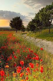 Message Beautiful Nature Nature Photography Landscape Photography