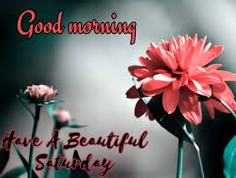 Maybe you would like to learn more about one of these? Beautiful Good Morning Happy Saturday Images Beautiful Hd God Wallpa