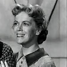 CANDY MATSON DETECTIVE Volume 1