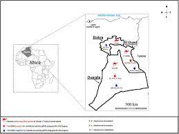 The cels ratings or camels rating is a supervisory rating system originally developed in the u.s. Coxiella Burnetii In Camels Camelus Dromedarius From Algeria Seroprevalence Molecular Characterization And Ticks Acari Ixodidae Vectors Sciencedirect