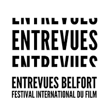 These six vue portfolio templates picks include fun image animations, light/dark mode options,and even interactive portfolios. Entre Vues